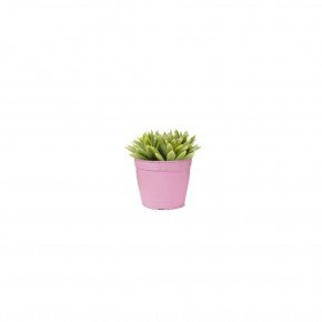 vaso aqualarela mini vaso pequeno vaso rosa rose vaso lilas pote mini pote para muda pote para plantas bom cultivo nutriplan