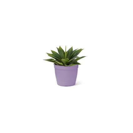 vaso aqualarela mini vaso pequeno vaso roxo vaso lilas pote mini pote para muda pote para plantas bom cultivo nutriplan